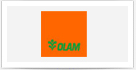 OLAM